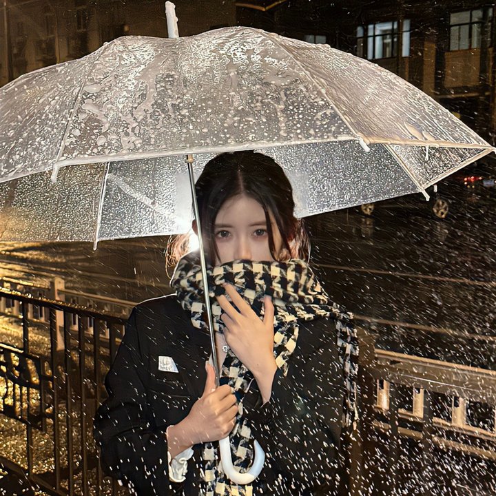 波士顿布莱奇控告嫌疑人